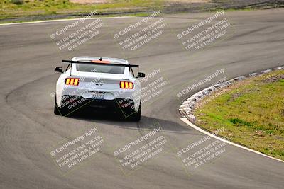 media/Feb-25-2024-Speed Ventures (Sun) [[b9a2a97a4d]]/Mustang Drivers Club/Session 1 (Turns 4 and 5)/